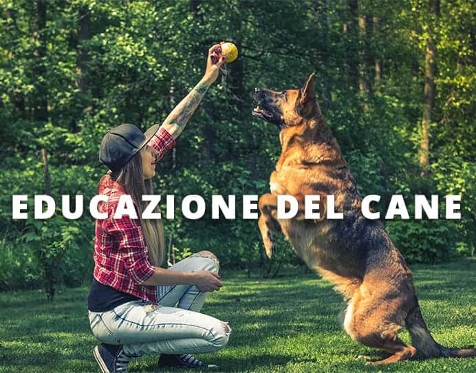 educazione del cane Dog's Health